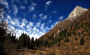 Siguniang Mountain